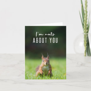 I'm nuts about you   Squirrel Modern Funny Fluffy Card