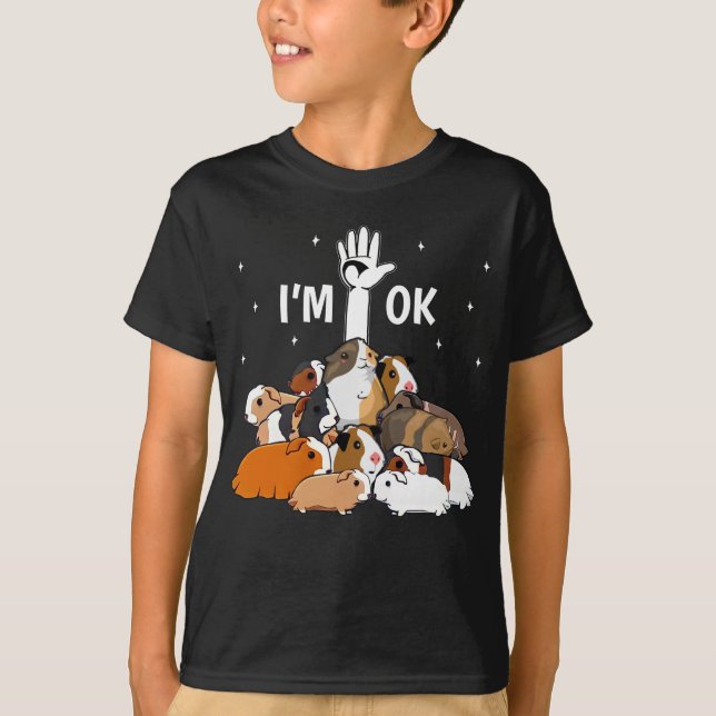 I'm Ok Funny Guinea Pigs Lover T-Shirt (Front)