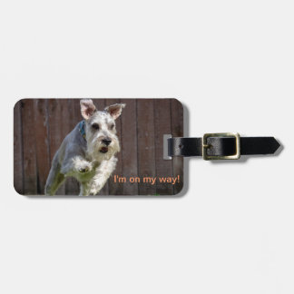 I'm on my way! - Miniature Schnauzer Luggage Tag