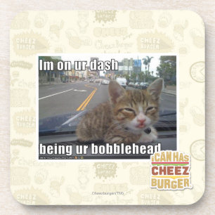 Im on ur dash coaster
