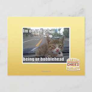 Im on ur dash postcard
