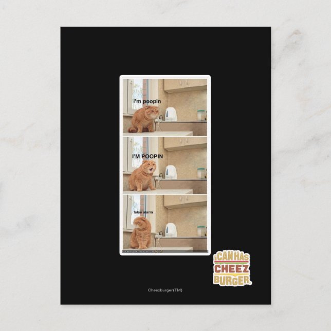 I'm poopin! postcard (Front)