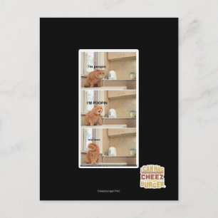 I'm poopin! postcard