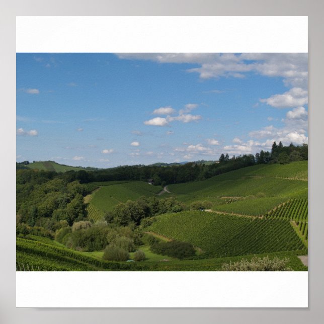 im Schwarzwald Poster (Front)