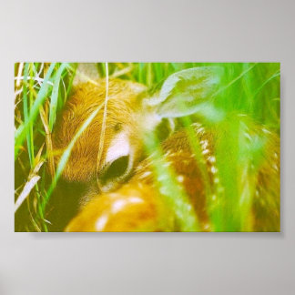 I'm shy poster