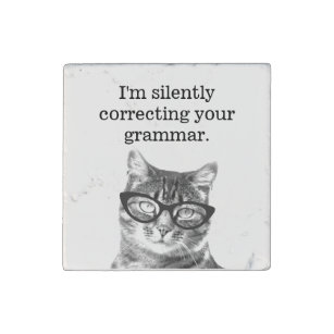 I'm silently correcting your grammar cat teacher stone magnets