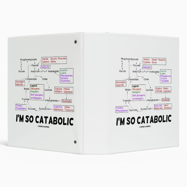 I'm So Catabolic Proteinogenic Amino Acids Diagram Binder (Background)