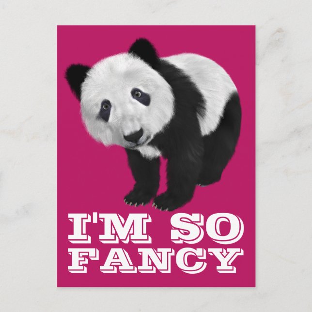 I'M SO FANCY PANDA BEAR POSTCARD (Front)
