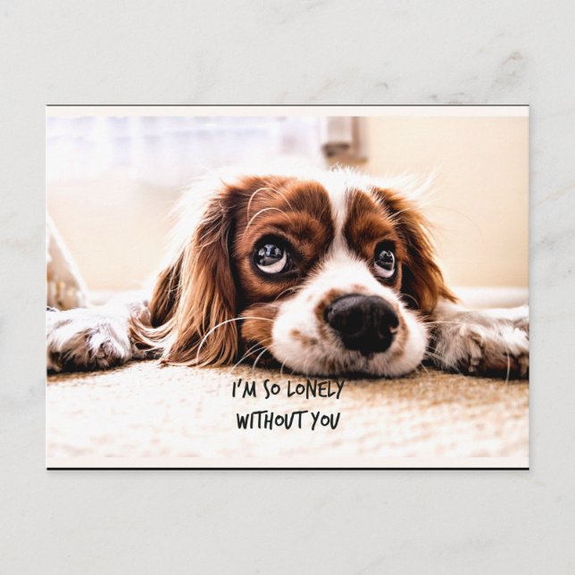 I'm so lonely without you postcard (Front)