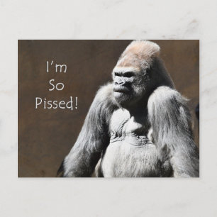 I'm so Pissed Postcard