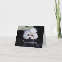 I'm Sorry Blank Card