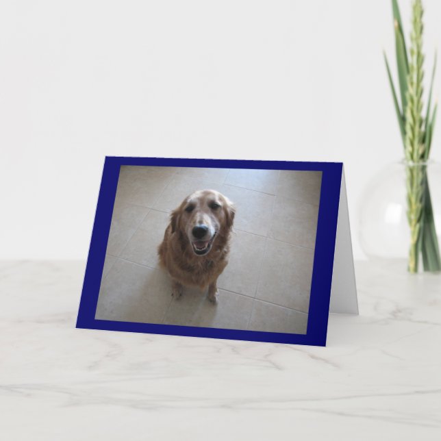 I'm Sorry! Card (Front)