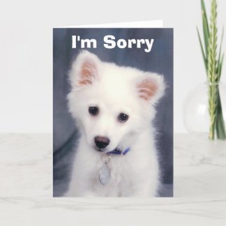 I'm Sorry Card