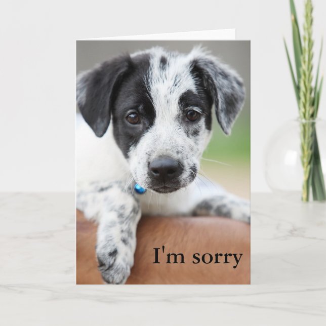 I'm sorry card (Front)