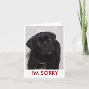 I'm sorry Card