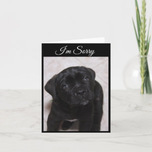 I'm Sorry Card - Mastiff Puppy