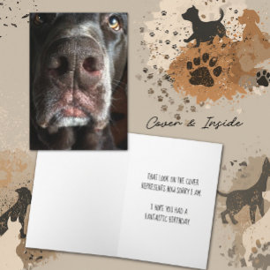 I'm Sorry Chocolate Lab Snout Belated Birthday Card