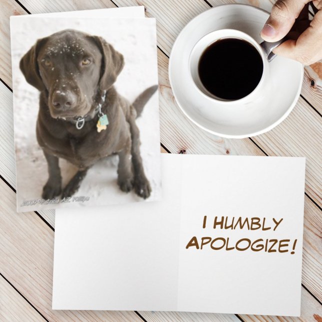 I'm Sorry Chocolate Labrador Retriever Dog Photo Card (chocolate lab cover template text inside)