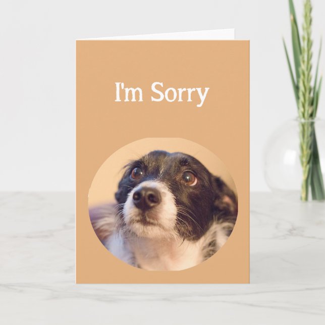 I'm Sorry Cute Repentant Dog Blank inside Card (Front)