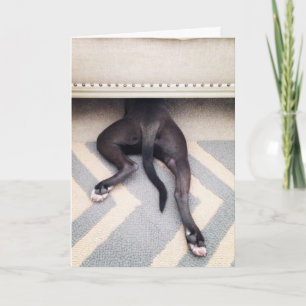 I'm sorry greeting card