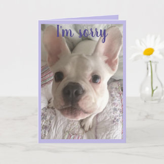 I'm Sorry HANGRY Card French Bulldog Puppy Pastel