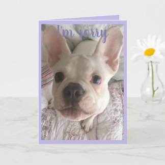 I'm Sorry HANGRY Card French Bulldog Puppy Pastel