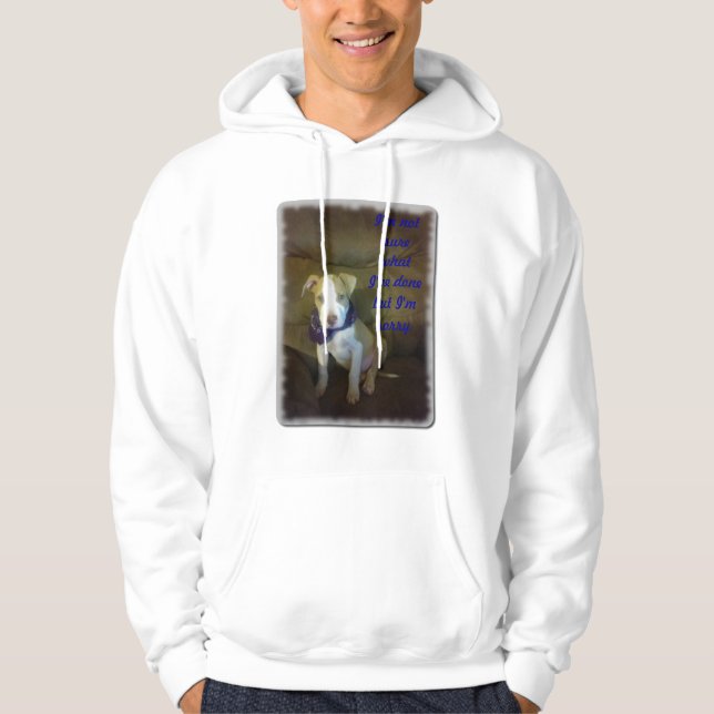 I'm Sorry Hoodie (Front)