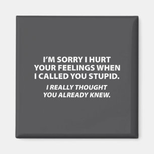 I'm Sorry I Hurt Your Feelings When I Called You S Magnet
