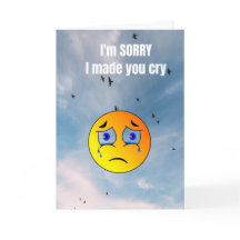 I'm sorry I made you cry.