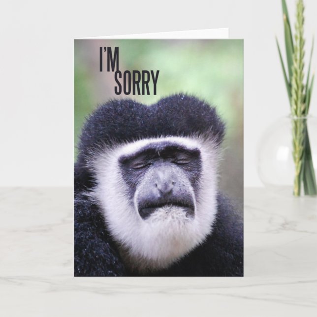 I'm sorry Monkey Card (Front)
