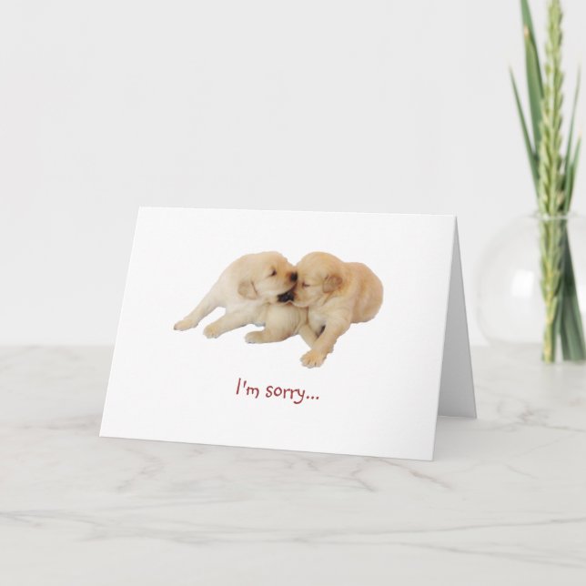 "I'm sorry" Puppy Love 1 Card (Front)