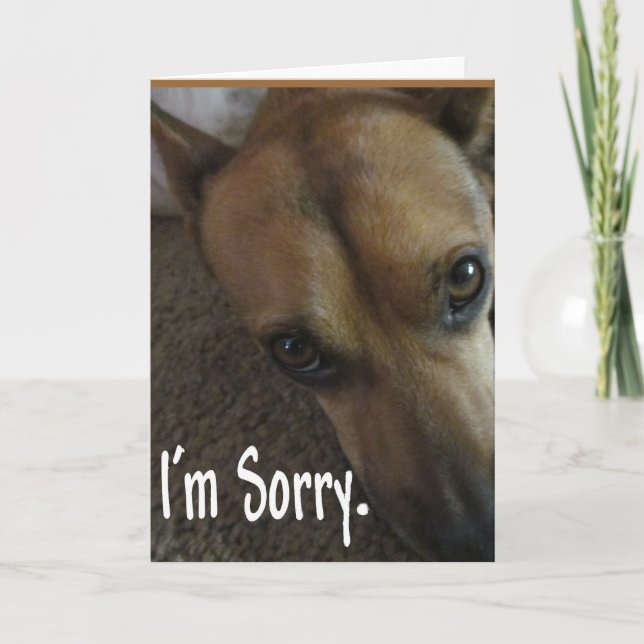 I'm Sorry Sad Dog Card (Front)