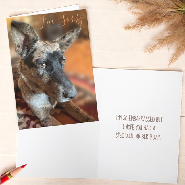 I'm Sorry Side Eye Cattle Dog Belated Birthday Card (Template text cover and inside greeting card)