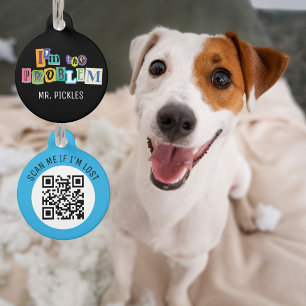 I'm the Problem Collage Pet Tag