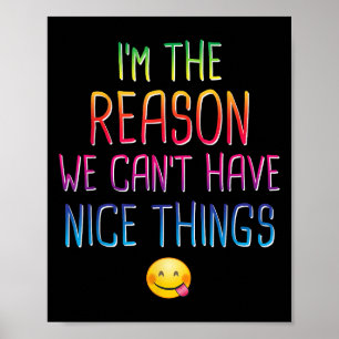 I'm The Reason We Can't Have Nice Things Funny Sar Poster