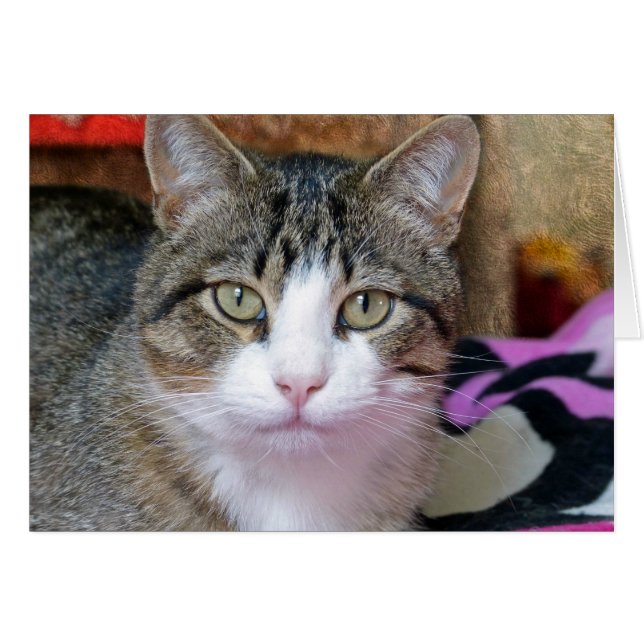 I'm Thinking (Front Horizontal)