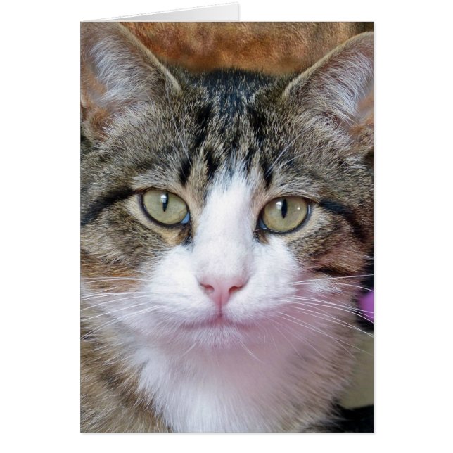 I'm Thinking (Front)