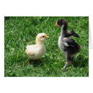 I'm Tougher Than You