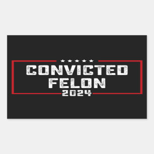 I'm Voting For The Convicted Felon Pro Trump 2024 Sticker