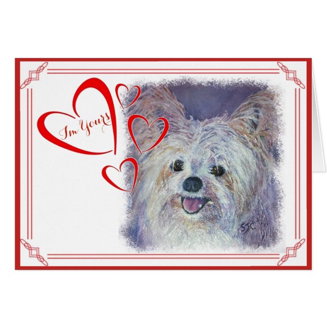 I'M YOURS VALENTINE CUTE WHITE YORKIE MIX (Front Horizontal)