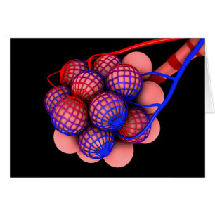 Image Conceptuelle D'Alveoli 1