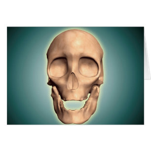 Image conceptuelle de crâne humain, vue de face