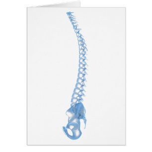 Image conceptuelle de l'épine dorsale humaine 5