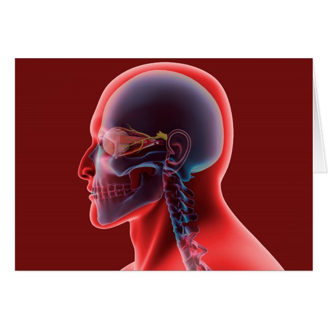 Image Conceptuelle De L'Oeil Et Du Crâne Humains (Devant horizontal)