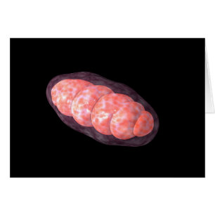 Image Conceptuelle De Mitochondria 2