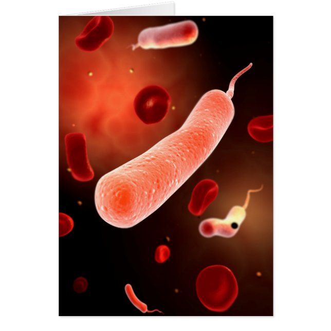 Image Conceptuelle De Vibrio Cholerae 2 (Devant)