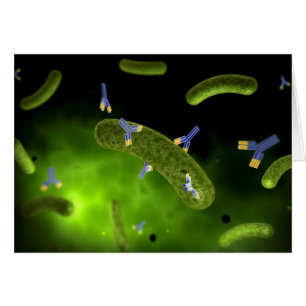Image Conceptuelle Des Bactéries De Tuage D'Antibe
