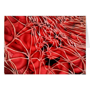 Image Conceptuelle Des Cellules De Sang Rouge Avec