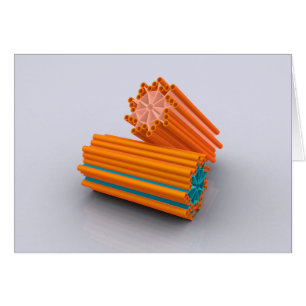 Image Conceptuelle Des Centrioles 2