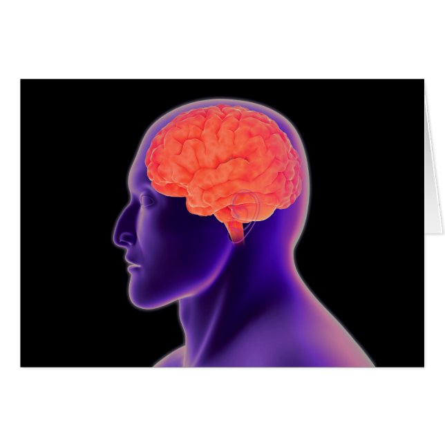 Image Conceptuelle Du Cerveau Humain 1 (Devant horizontal)